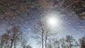 Spring. reflection in a spring puddle of trees, sun and sky