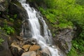 Spring rill flow in mountain Royalty Free Stock Photo