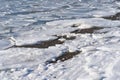 Spring. River bank with pieces of ice