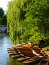 Spring on River Cam Royalty Free Stock Photo