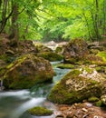 Spring river in canyon