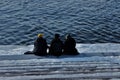 People sit and talk on the river bank.