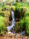 Spring river waterfall, stones, green moss and spring trees, David`s sources, Latvia