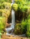 Spring river waterfall,  stones, green moss and spring trees, David`s sources, Latvia Royalty Free Stock Photo