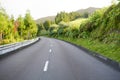 Spring road - Azores