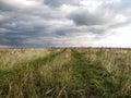 Spring road on green fresh grass on a cloudy day Royalty Free Stock Photo