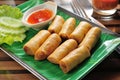 Spring roll Royalty Free Stock Photo