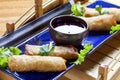 Spring roll Japanese cuisine