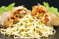 Spring Roll and Noodles Royalty Free Stock Photo