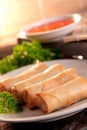Spring roll and samosas Royalty Free Stock Photo
