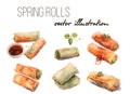 spring roll with shrimp, herbs, vegetables, avocado. Cliparts. Vector illustration of traditional Chinese cuisine and Royalty Free Stock Photo