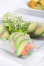 Spring roll wrapper with microgreens vertical Royalty Free Stock Photo