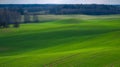 Spring Rolling Green Hills With Fields Of Wheat. Royalty Free Stock Photo