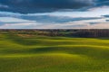 Spring Rolling Green Hills With Fields Of Wheat. Royalty Free Stock Photo