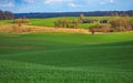 Spring Rolling Green Hills With Fields Of wheat and village Royalty Free Stock Photo