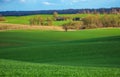 Spring Rolling Green Hills With Fields Of Wheat and village Royalty Free Stock Photo