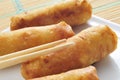 Spring rolls Royalty Free Stock Photo