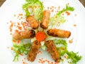 Spring rolls decorated with vegetables Royalty Free Stock Photo