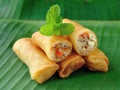 Spring rolls food Royalty Free Stock Photo