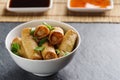 Spring rolls Royalty Free Stock Photo