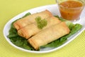 Spring rolls with plum sauce Royalty Free Stock Photo