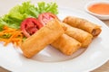 Spring rolls and sweet chili dip sauce Royalty Free Stock Photo