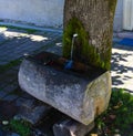 A spring running from a living tree trunk in the town of KolaÃÂ¡in