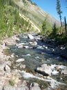 Spring runoff Rocky Creek mountain Montana Royalty Free Stock Photo