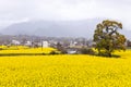 Spring rural landscape