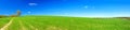 Spring rural landscape with field and blue sky, a panorama