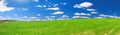 Spring rural landscape with field and blue sky, a panorama Royalty Free Stock Photo