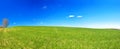 Spring rural landscape with field and blue sky, a panorama Royalty Free Stock Photo