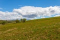 Rural landscape field with green grass and blue sky with cumulus clouds Royalty Free Stock Photo