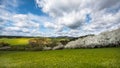 Beautiful spring evening meadow, sky with clouds, Royalty Free Stock Photo