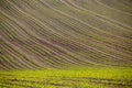 Spring plowed field curves