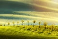 Spring rural nature landscape with young trees on green wavy rolling hills. Amazing sunset evening light. South Moravia, Czech Royalty Free Stock Photo