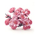 Spring Sakura cherry blooming flowers bouquet. Isolated realistic pink petals, blossom Royalty Free Stock Photo