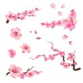 Spring sakura cherry blooming flowers, pink petals and branches vector set for your own design Royalty Free Stock Photo