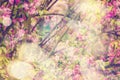 Spring Sakura dreamy background