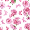 Spring sakura flowers and butterfly, floral watercolor background. Seamless pattern. Pink flower hand drawn illustration Royalty Free Stock Photo