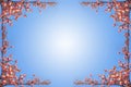 Spring sakura frame on blue sky