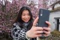 Spring sakura selfie - young happy and cute Asian Chinese tourist woman taking self portrait with mobile phone smiling cheerful in Royalty Free Stock Photo