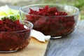 Spring salad of beetroot Royalty Free Stock Photo