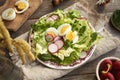 Spring salad with eggs and wild edible plants - chickweed, nipplewort and young yarrow Royalty Free Stock Photo