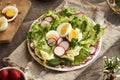 Spring salad with eggs and wild edible plants - nipplewort, chickweed, young yarrow Royalty Free Stock Photo