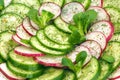 Spring salad with fresh cucumber and radish