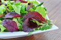 Spring salad of mixed greens closeup