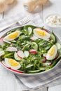 Spring salad with radish, cucumber, lettuce mix and eggs close-up in a plate. Vertical