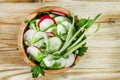 Spring salad with radishes, cucumber, green onions and herbs, wo Royalty Free Stock Photo