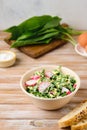 Spring salad of wild garlic, radish and boiled eggs in a ceramic bowl on a wooden background. The use of wild plants for food, the Royalty Free Stock Photo